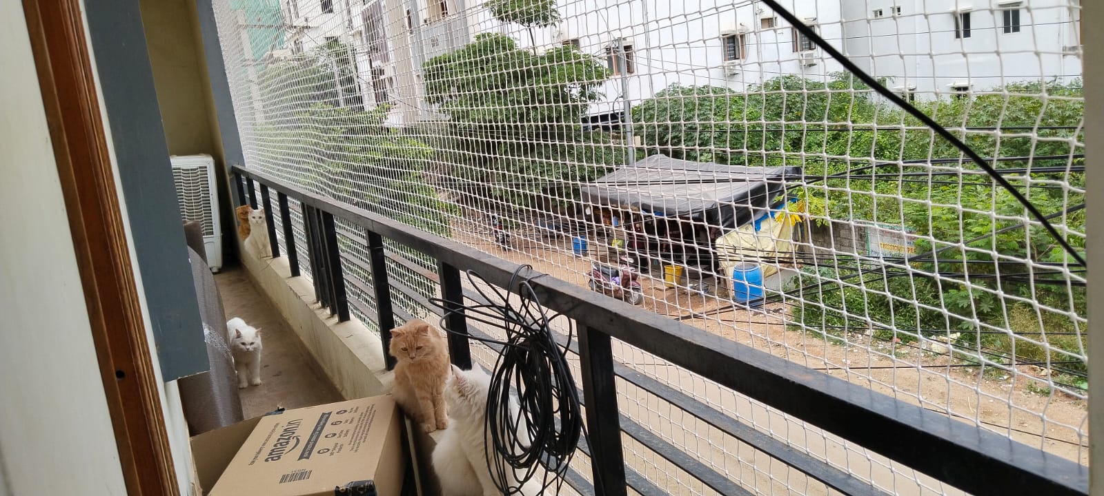 Pet Safety Nets